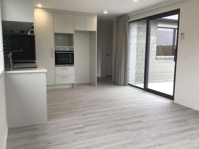 156b Fairway Drive Morrinsville_3