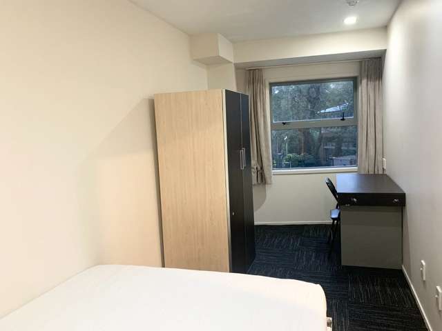 21 Whitaker Place Grafton_3