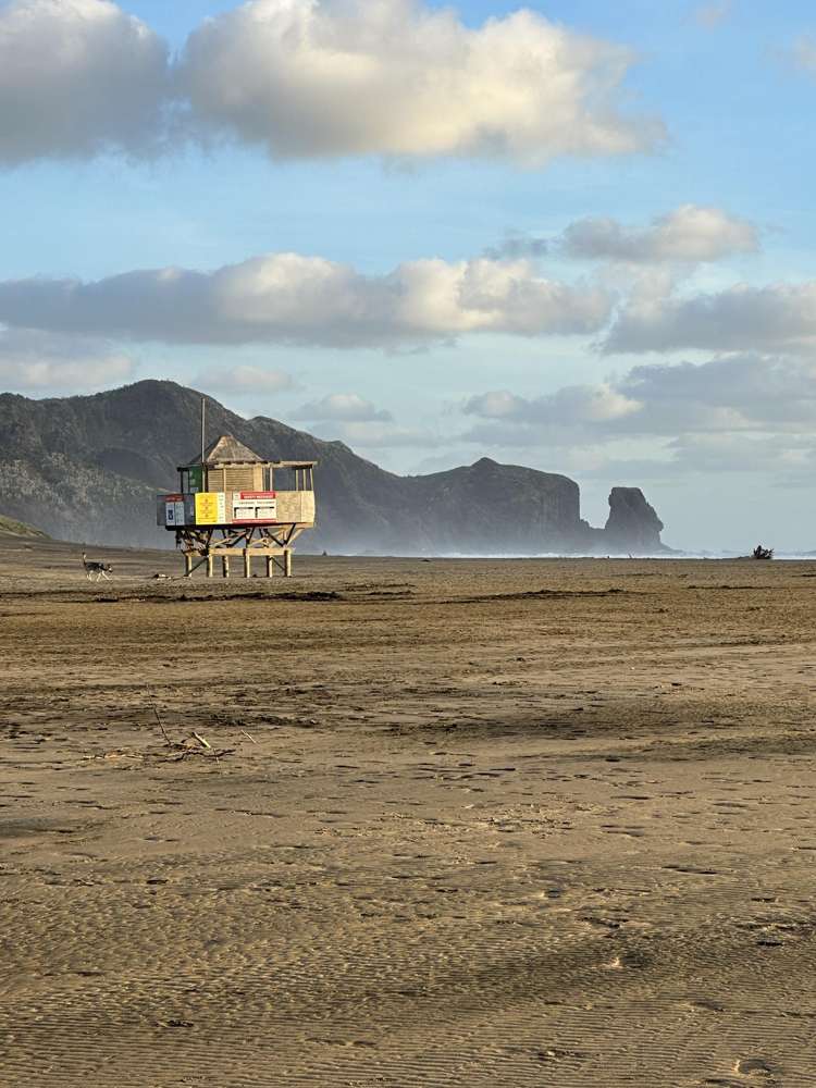 8 Erangi Place Bethells Beach_47