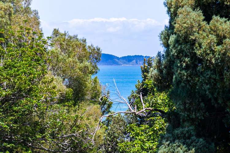 57 Clinton Road Tawharanui Peninsula_1