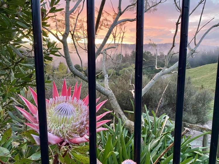 675b Stanley Road Wainui_24