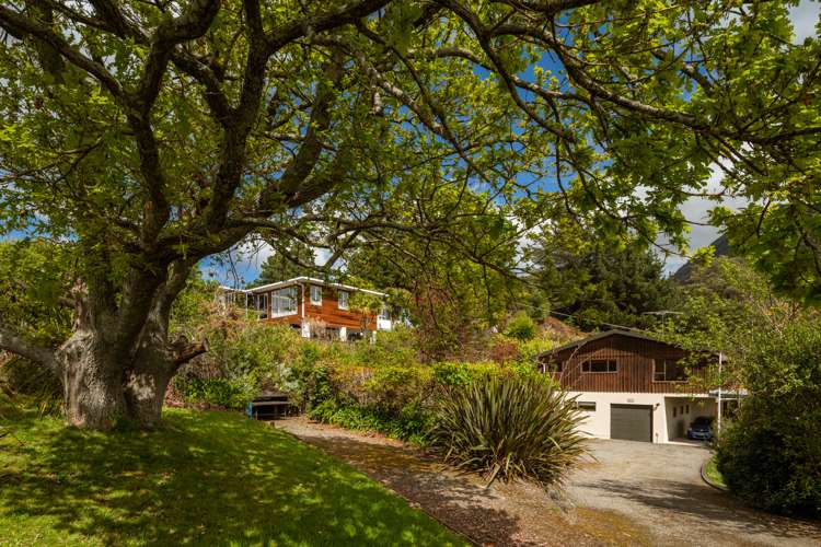 27c Dorset Street Picton_22