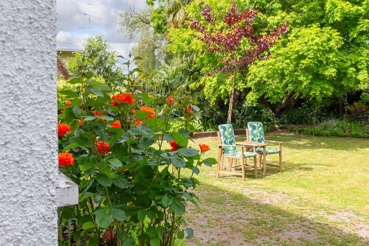 100 Colombo Road Masterton_35