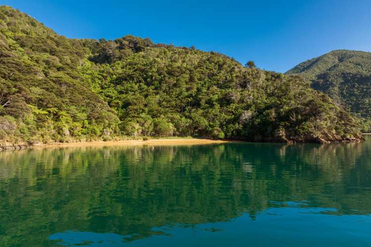 Cherry Bay, Ruakaka Bay Marlborough Sounds_16