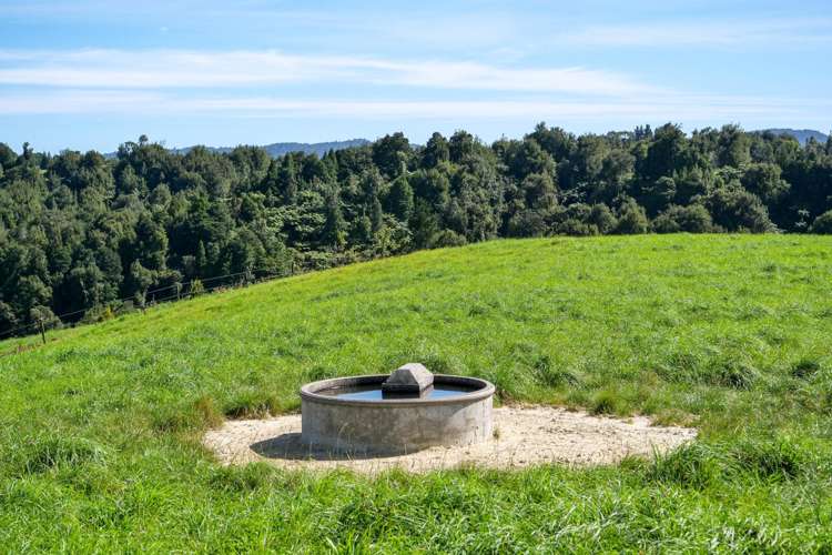 530 Soldiers Road Lower Kaimai_15