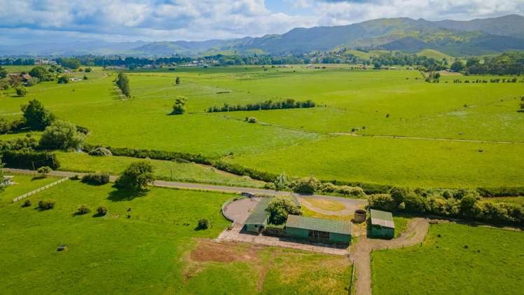 20 Ryall Road Paeroa_12