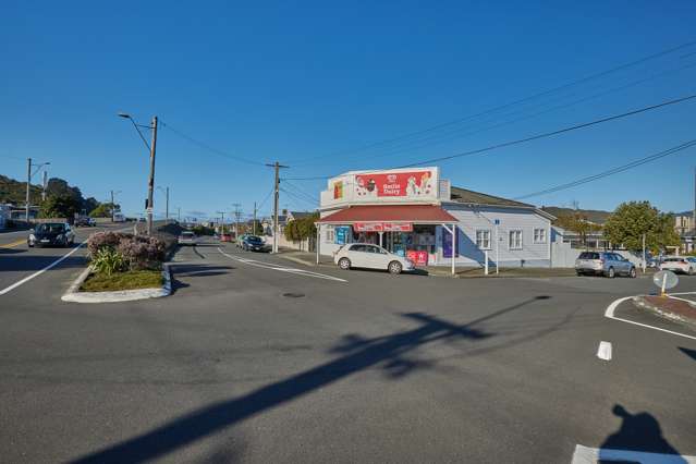 182 Hutt Road Petone_1