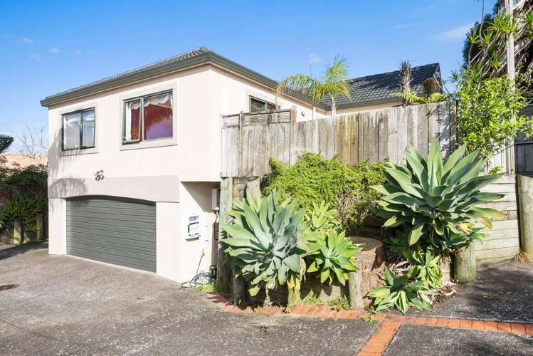 2 Zambezi Lane Mount Roskill_1