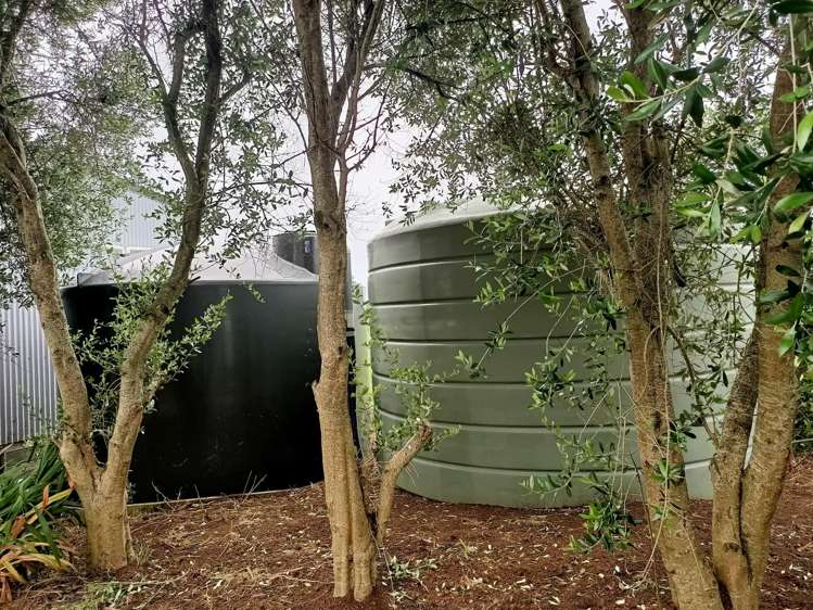 682 Morrinsville-Tahuna Road Morrinsville_16