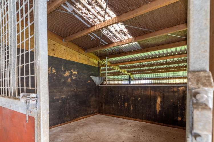 204 Racecourse Road Cambridge_23