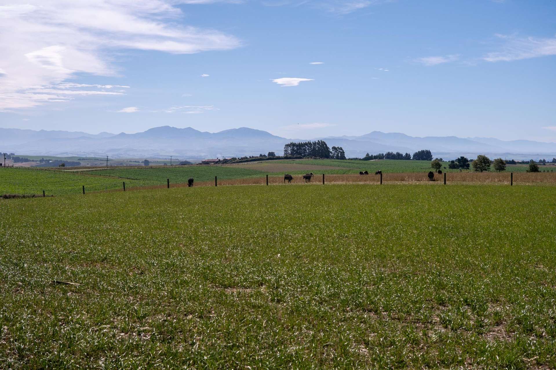 Hadlow Road Hadlow_0