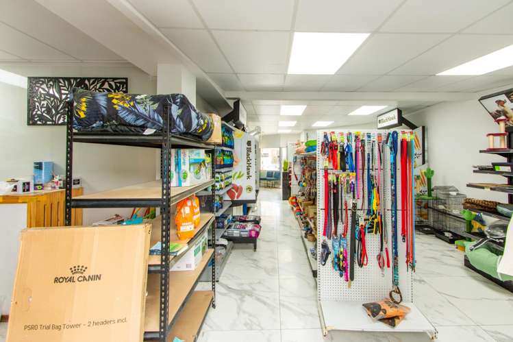 3/368 Beach Road Mairangi Bay_5