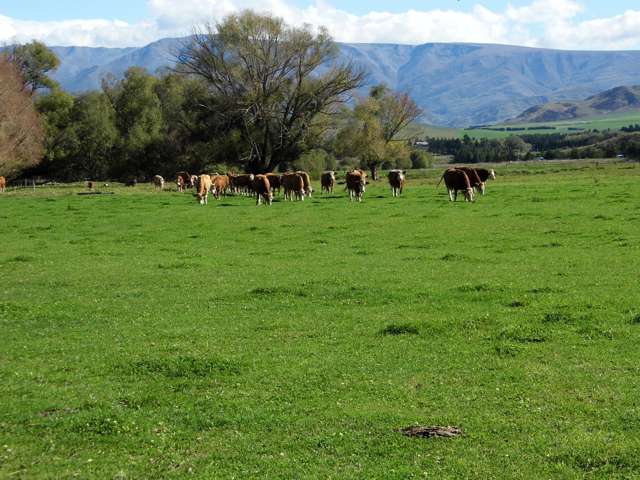 812 Hakataramea Valley Road Hakataramea Valley_2