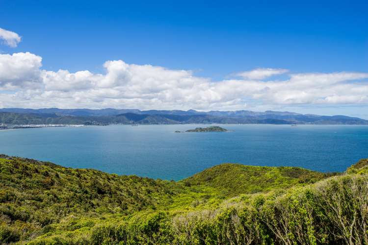 31 Promontory Crescent Newlands_4