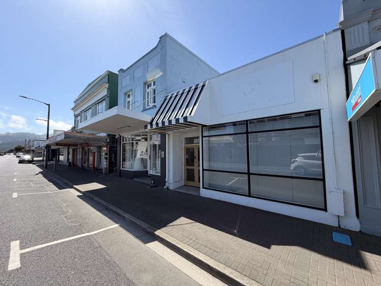 291 Jackson Street Petone_1