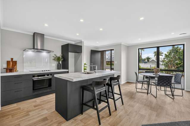 488a Thames Street Morrinsville_2