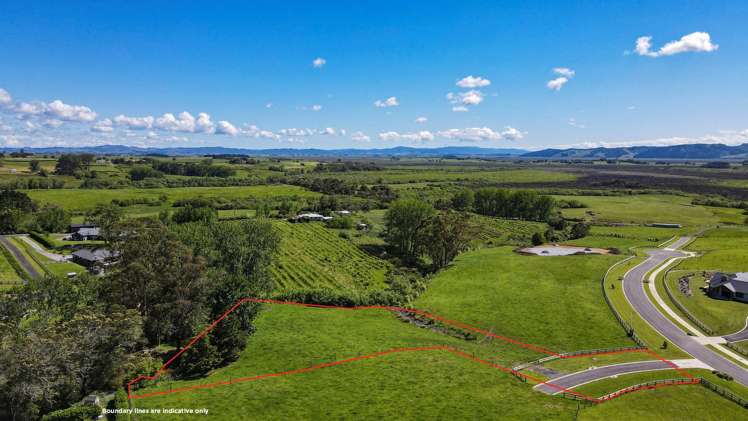 46 Moorfield Road_4