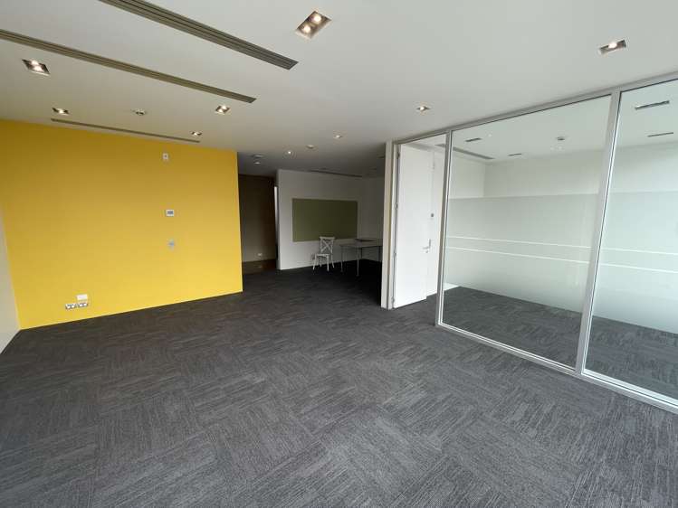 38 Ponsonby Road Grey Lynn_15