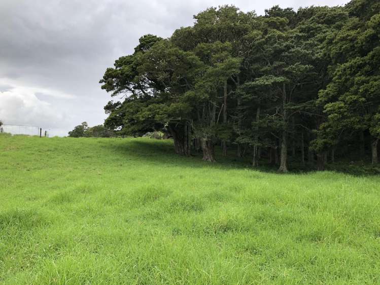 145 Bint Road Maungakaramea_11