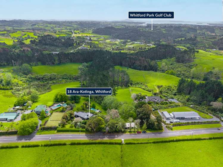 18 Ara-Kotinga Whitford_40