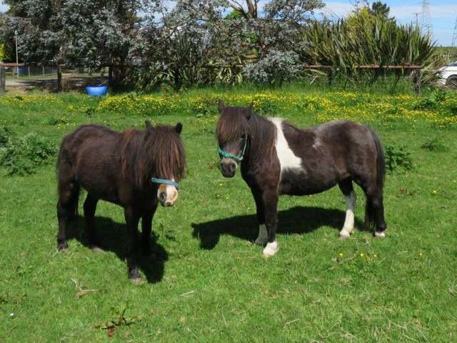 54 Bethunes Lane Waihopai_3