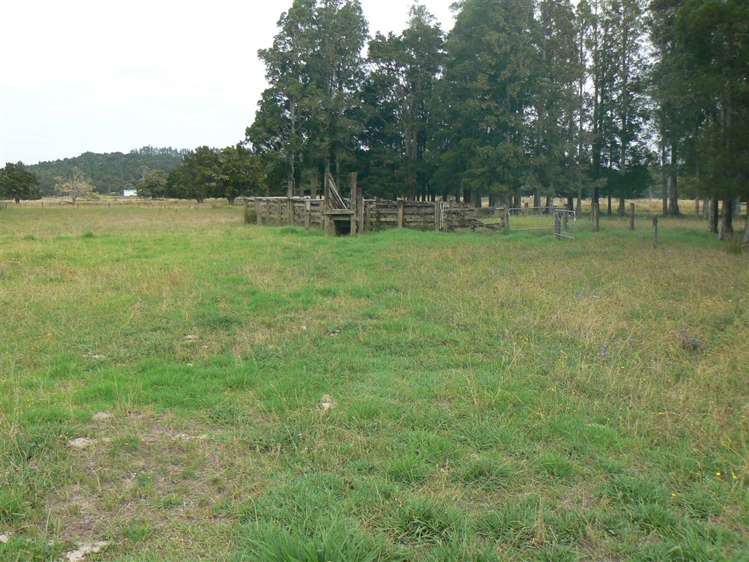 State Highway 12 Kaikohe_9