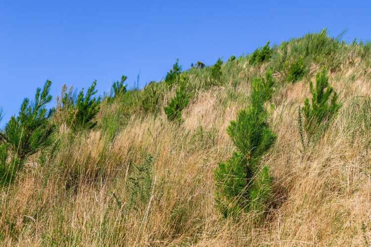 121 Mountain Road Oxford_18