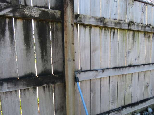 38A The Esplanade Westport_2