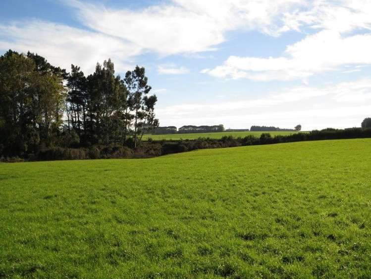 59 Woodlands Morton Mains Road Woodlands_7