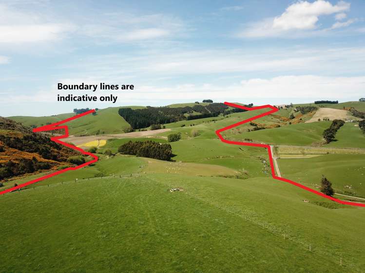 1726 Owaka Highway Kaka Point_17