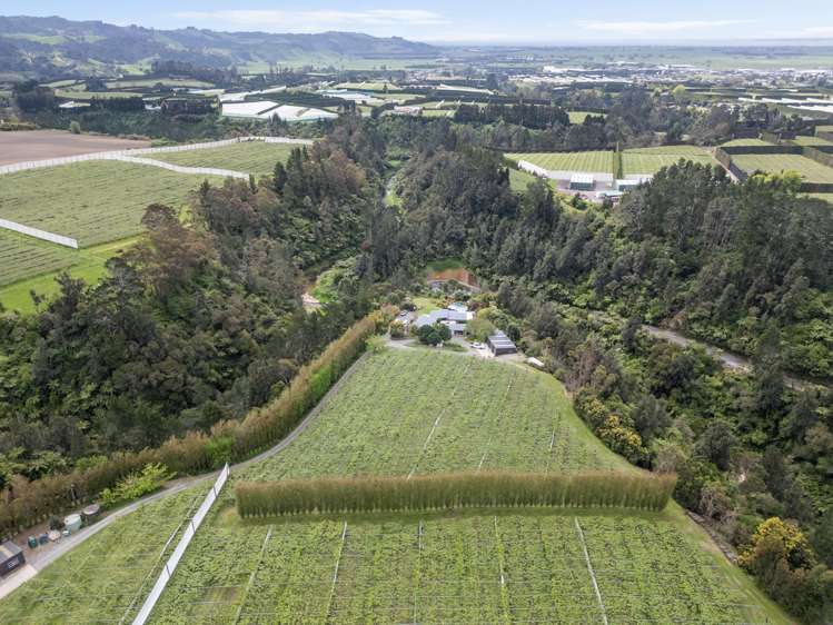 121A No 4 Road Te Puke_11