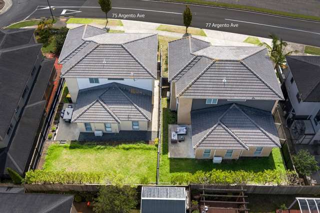 75 Argento Avenue Flat Bush_2