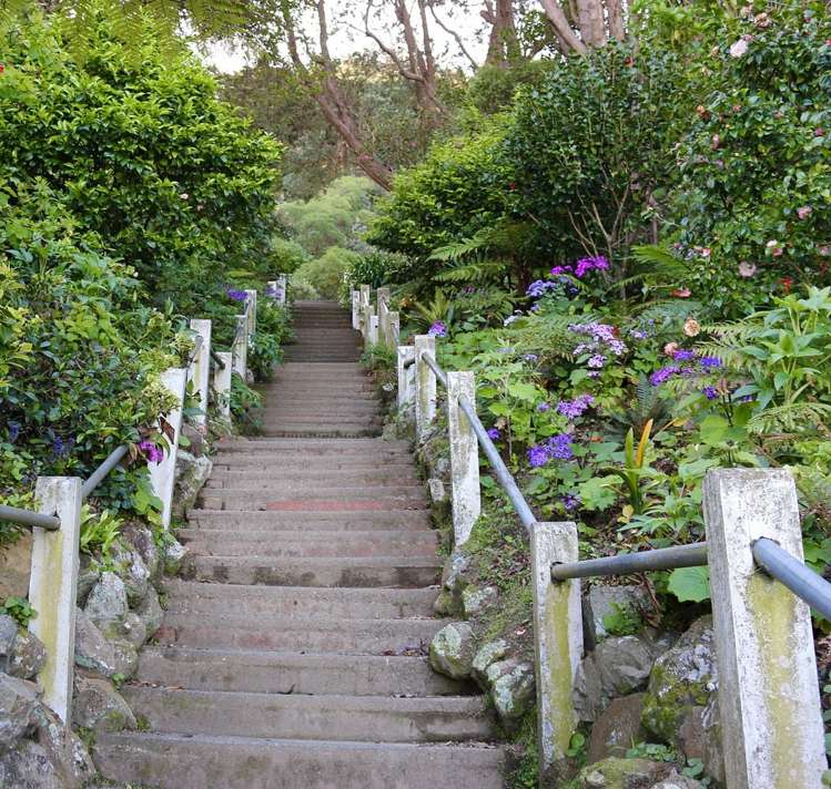 87 Grant Road Thorndon_21