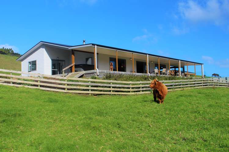 137 Cameron Way Makarau_5