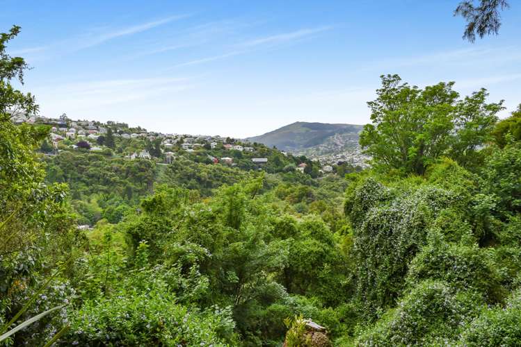 24 Braeview Crescent Maori Hill_23