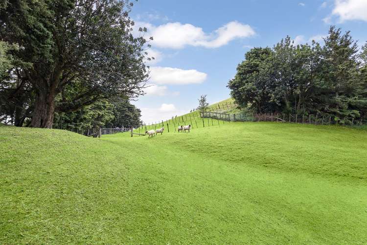 81 Taylor Road Waimauku_41