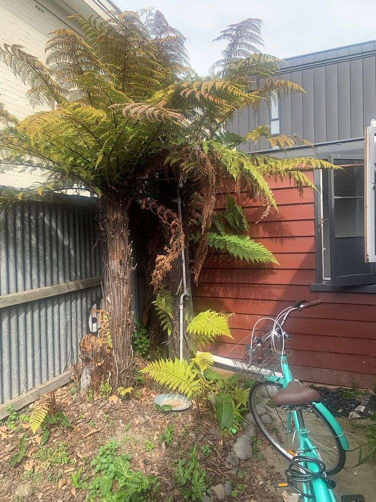 40 Cranmer Square Christchurch Central_11