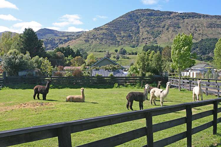 53 Western Valley Road Little River_11