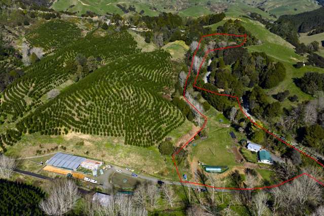 634 Otorohaea Trig Road Pukemiro_4