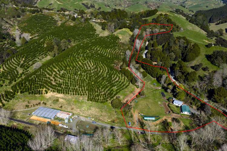 634 Otorohaea Trig Road Pukemiro_4