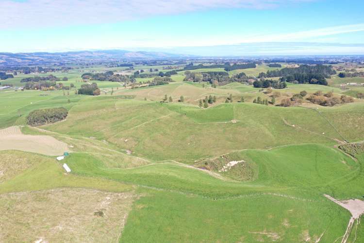 810 Spur Road Ashhurst_16