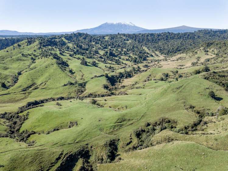 Kaitieke Road Owhango_9