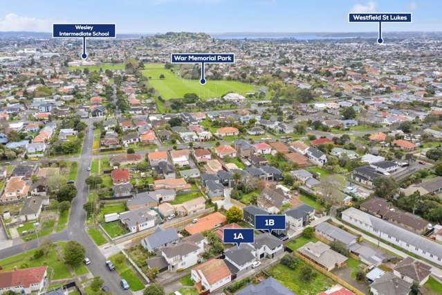 1a Coleman Avenue Mount Roskill_1