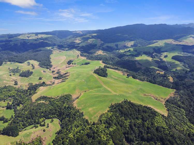 870 Mangati Road Pirongia_30