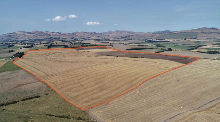 400 Mandeville Kingston Crossing Road Nine Mile_3