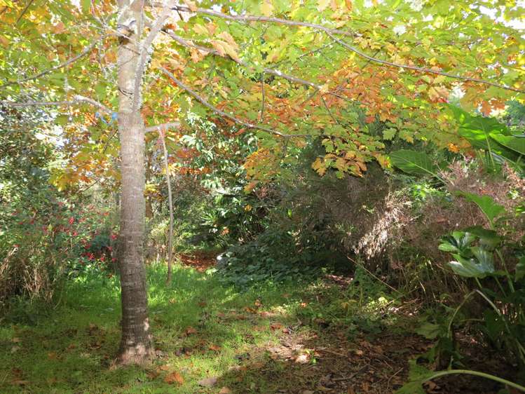 99 Clifton Road Kahurangi National Park_13