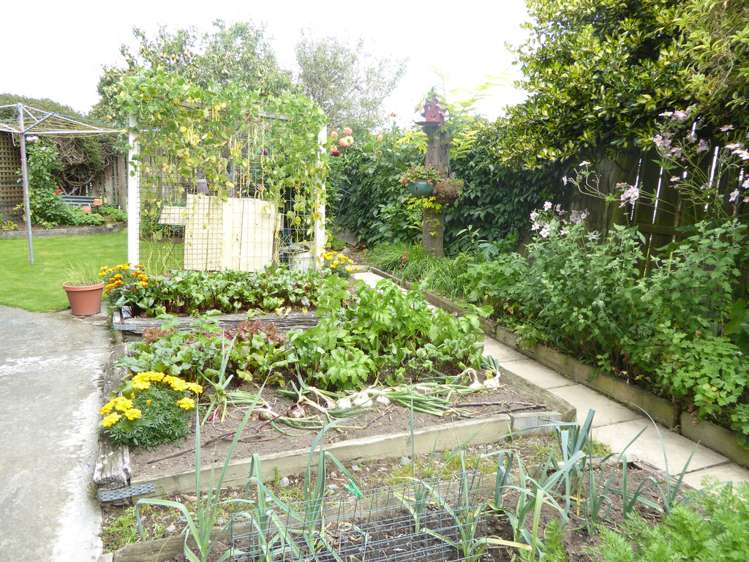 31 South Belt Methven_16