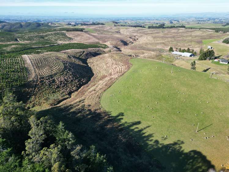Lot 2/339 Rankleburn Road Rankleburn_16