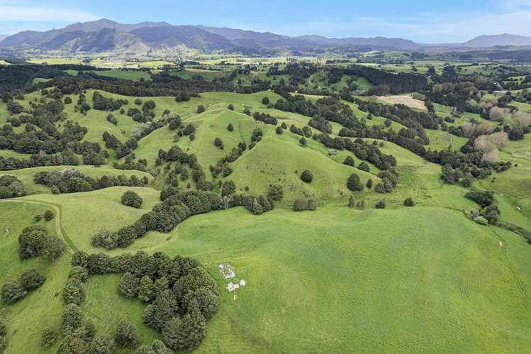 Coxhead Road Parakao_8