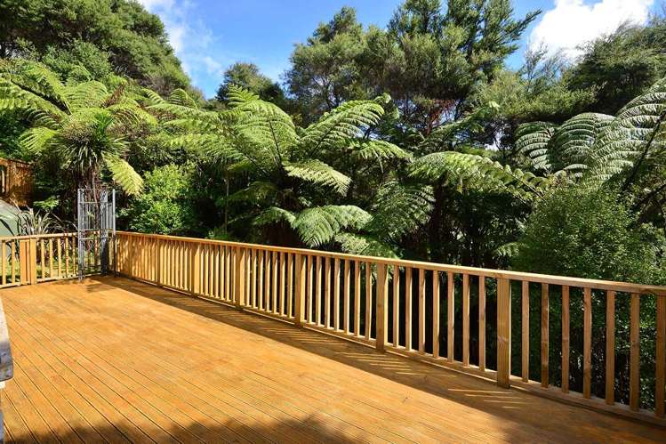 43a Oneil Road Kaukapakapa_16